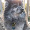 CJ_Customer Review
